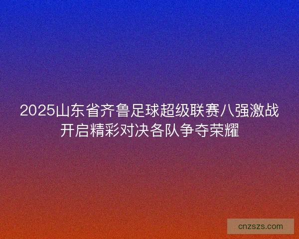 2025山东省齐鲁足球超级联赛八强激战开启精彩对决各队争夺荣耀